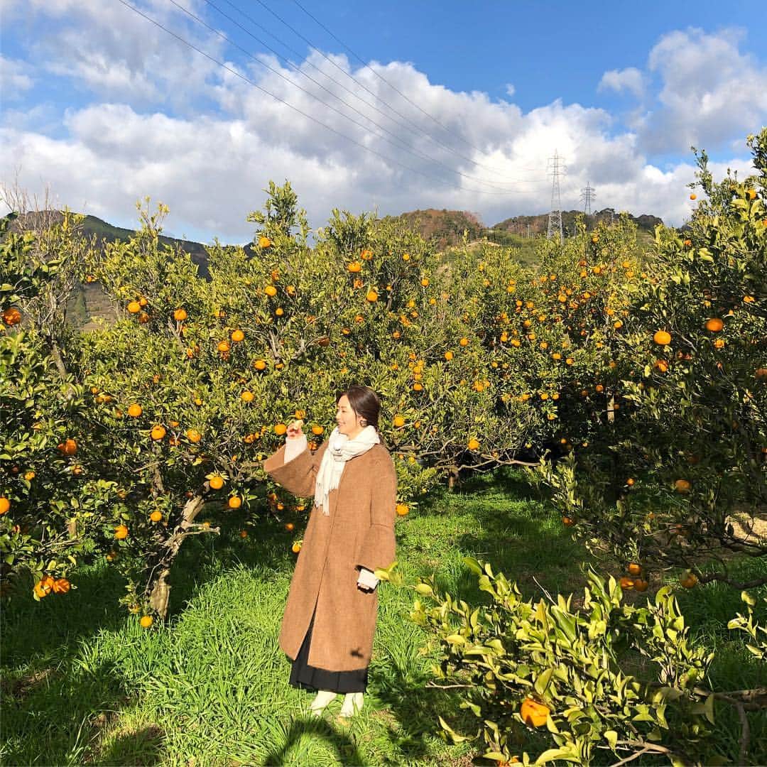 笛木優子のインスタグラム：「🍊」