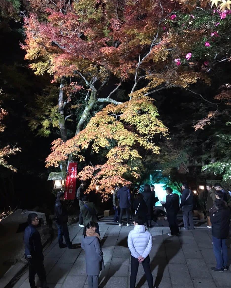 瀧本美織のインスタグラム：「いよいよ明日初回放送ですね！ドキドキ。私はどこでしょう⁇🍁 #ドラマ#刑事ゼロ#木曜ミステリー#夜8時」
