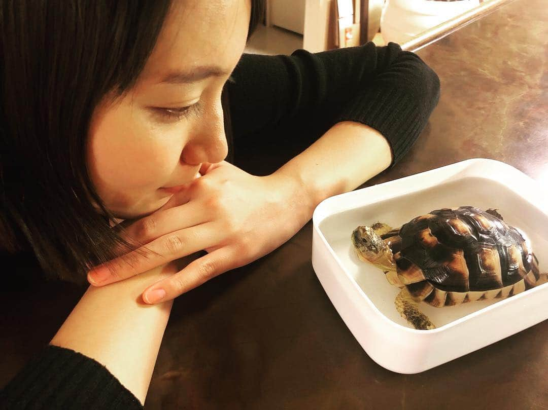 吉岡里帆さんのインスタグラム写真 - (吉岡里帆Instagram)「おはよう🐢」1月24日 8時36分 - riho_yoshioka