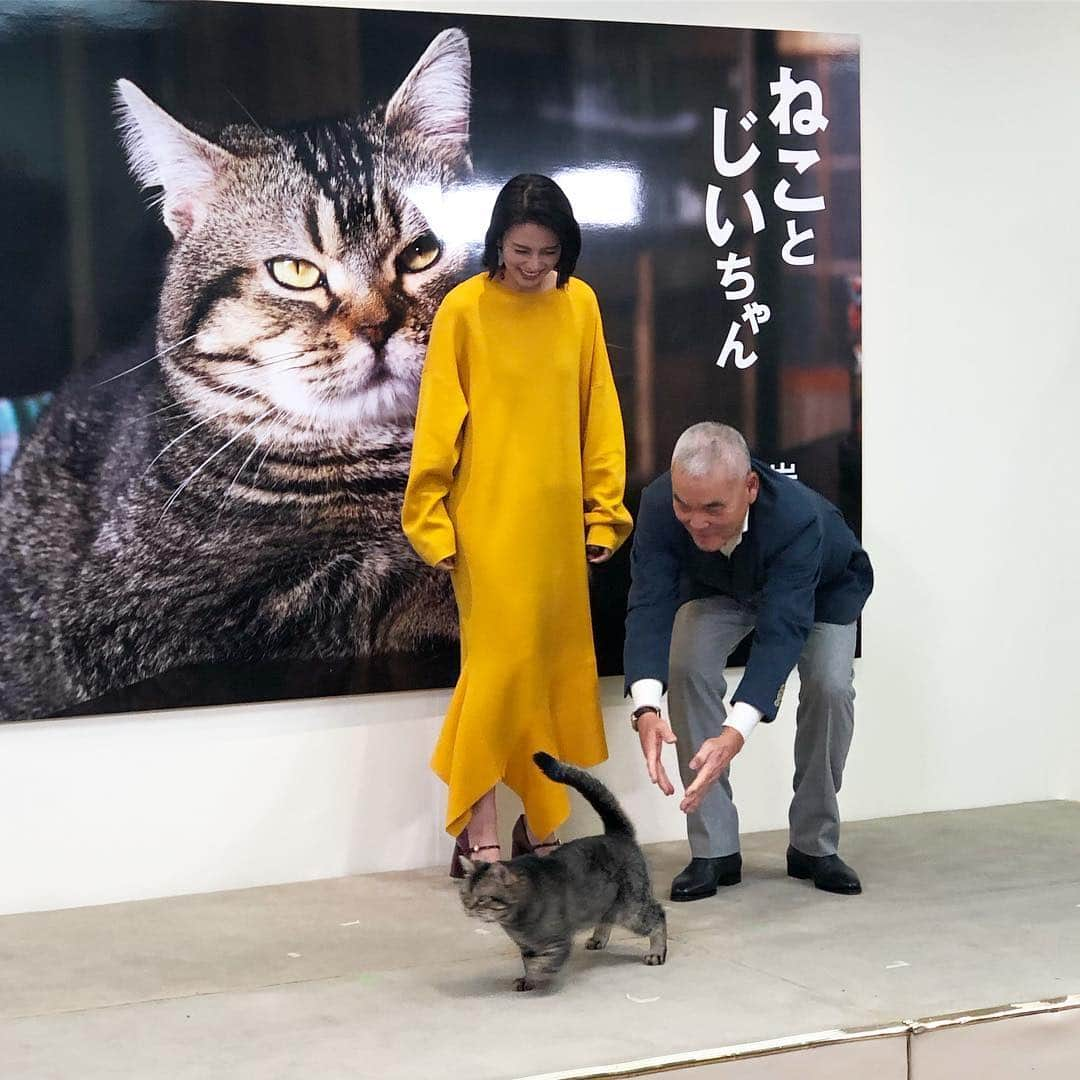 tomokoさんのインスタグラム写真 - (tomokoInstagram)「. 岩合光昭さん監督映画 「ねことじいちゃん」写真展の公開前レセプションに招待していただきました。 . 主演猫のベーコン様登場！堂々たる風格。 柴咲コウさんは猫っぽくて美しかった。 . 写真展は本日から日本橋三越にて。 映画は2月22日猫の日公開です。 . #岩合光昭 #ねことじいちゃん #ねことじいちゃん写真展 #柴咲コウ」1月9日 18時23分 - dora_me0416