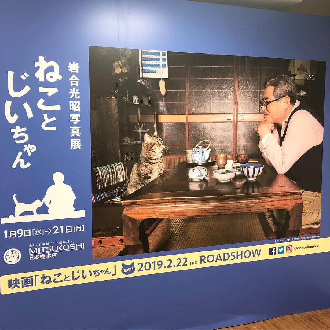 tomokoさんのインスタグラム写真 - (tomokoInstagram)「. 岩合光昭さん監督映画 「ねことじいちゃん」写真展の公開前レセプションに招待していただきました。 . 主演猫のベーコン様登場！堂々たる風格。 柴咲コウさんは猫っぽくて美しかった。 . 写真展は本日から日本橋三越にて。 映画は2月22日猫の日公開です。 . #岩合光昭 #ねことじいちゃん #ねことじいちゃん写真展 #柴咲コウ」1月9日 18時23分 - dora_me0416