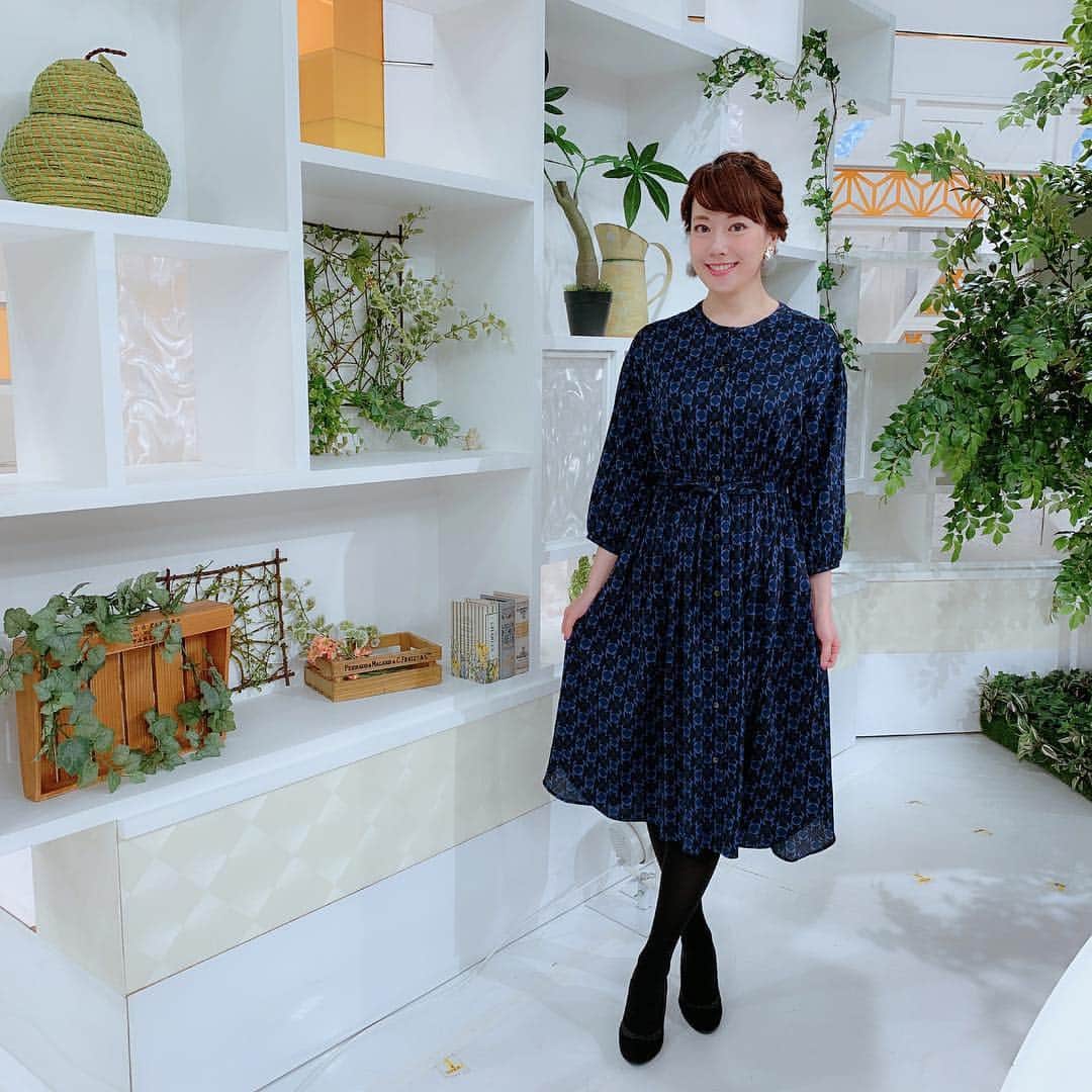 新垣泉子のインスタグラム