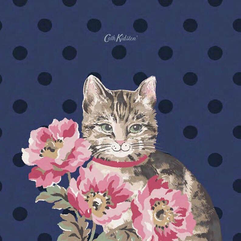 キャス・キッドソンさんのインスタグラム写真 - (キャス・キッドソンInstagram)「meow🐈愛らしい鳴き声が今にも聞こえてきそうなキャットモチーフのプリントデザインが明日1月11日発売の新作コレクションで登場します。気品溢れる表情から、まどろむ子猫たちまで、猫たちがもつ様々な表情を堪能できる新作プリントコレクションをお楽しみに！  #キャスキッドソン #猫 #ネコ #キャット #ネコグッズ #猫グッズ #猫雑貨#ニャンコ #こねこ #プリントストーリー  #新作」1月10日 19時27分 - cathkidston_jp