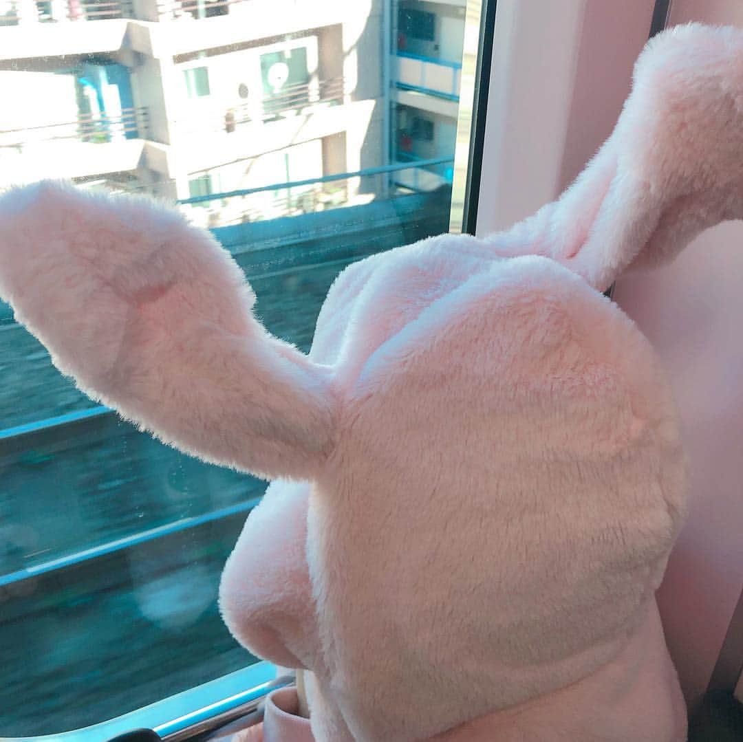 畑田亜希さんのインスタグラム写真 - (畑田亜希Instagram)「ウサギさんと原宿デート🐰❤️ ・ ・ ウサギさん念願のチーズドッグ🧀こんなに伸びんの〜〜〜🤣 ・ ・ いつ来ても人人人👶🏻👩🏽‍🦱👨🏻‍🦰👧🏼👴🏿🧕🏼 ・ ・ #2019 #Japan #harajyuku #チーズドッグ #伸び放題 #ウサギさん電車の旅」1月10日 13時31分 - akihatada