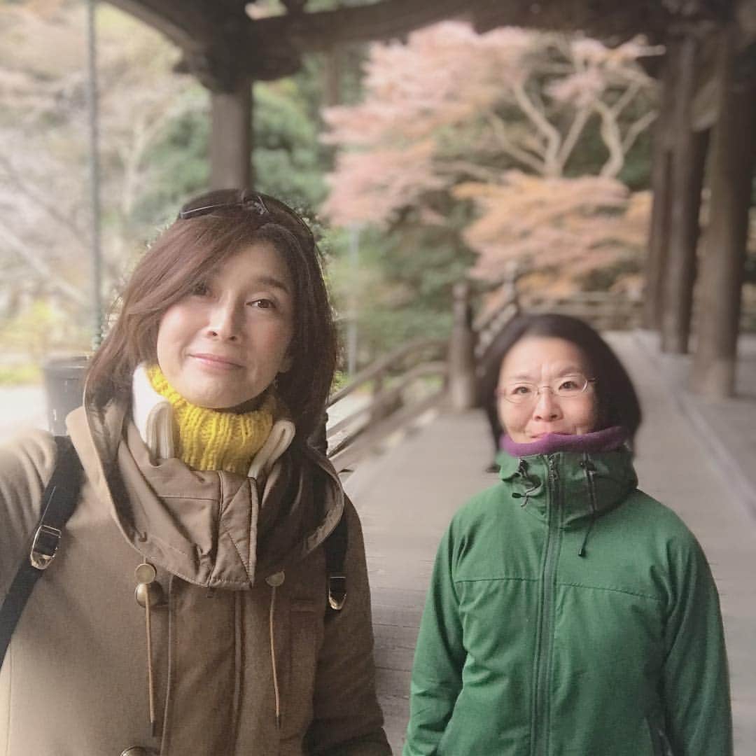 益子直美のグルメインスタ