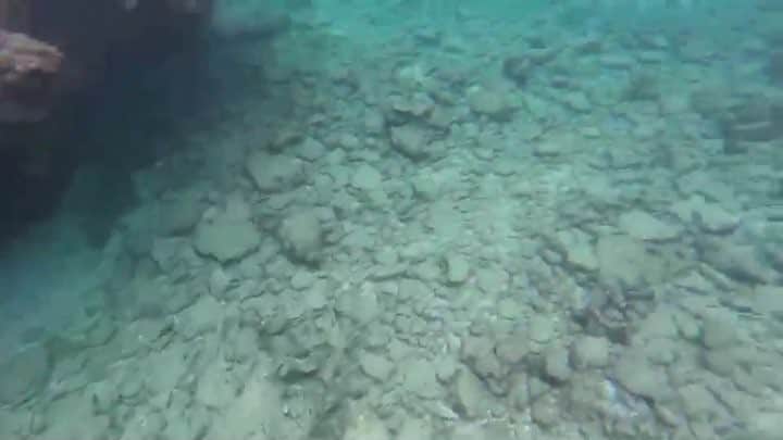 服部勇馬のグルメインスタ