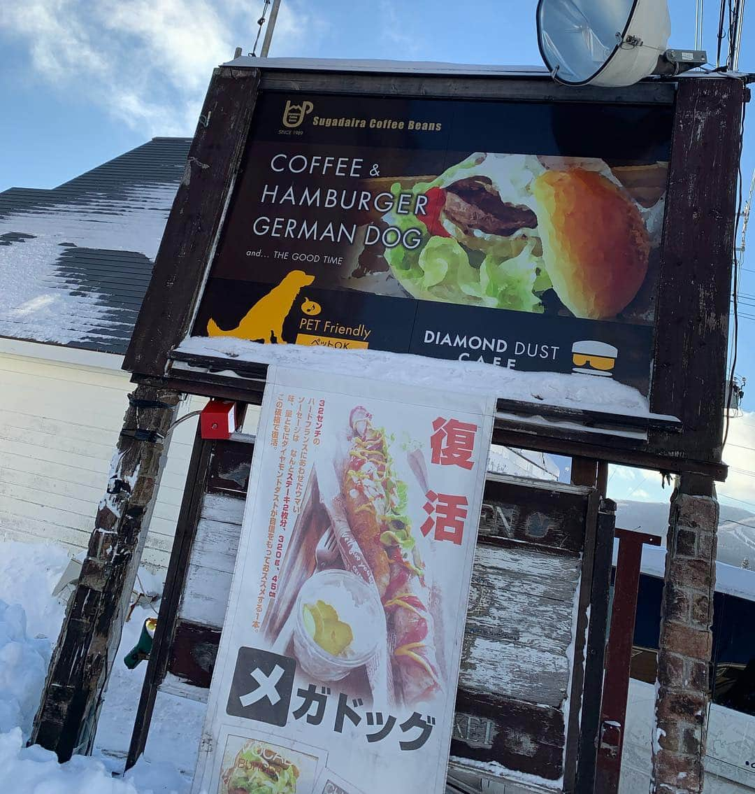 清澤恵美子さんのインスタグラム写真 - (清澤恵美子Instagram)「菅平のダイアモンドダストのTスペシャルアボガドバーガーとチーズバーガーは最高に美味しい！！ 2日続けて食べてしまった🙏😆 絶対食べてほしい！！！ #Tスペシャルバーガー #チーズバーガー  #チリチーズバーガー #ソーセージ長すぎて写真に入らない」1月10日 16時48分 - kiyosawaemiko