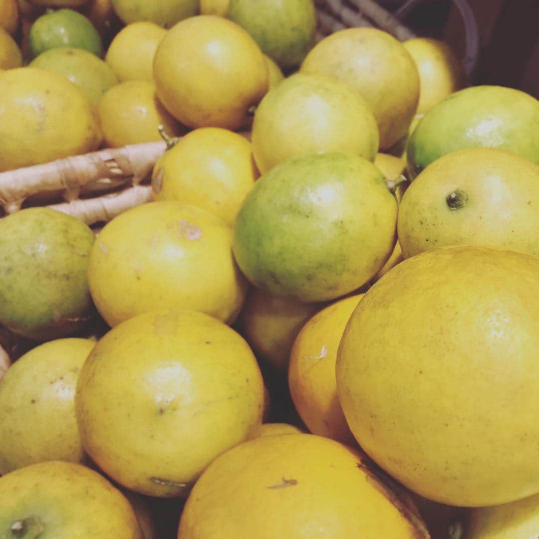 青山志穂さんのインスタグラム写真 - (青山志穂Instagram)「宮古島のマイヤーレモン。 防カビ剤の心配がないので、皮ごといけちゃいます(^ ^) 酸味が少なく果汁が多いのが特徴なのです。 料理教室用に購入❤️ #宮古島 #マイヤーレモン #特産品 #レモン #防カビ剤不使用 #皮ごと #料理教室 #沖縄 #果物」1月10日 16時42分 - shiho_aoyama_