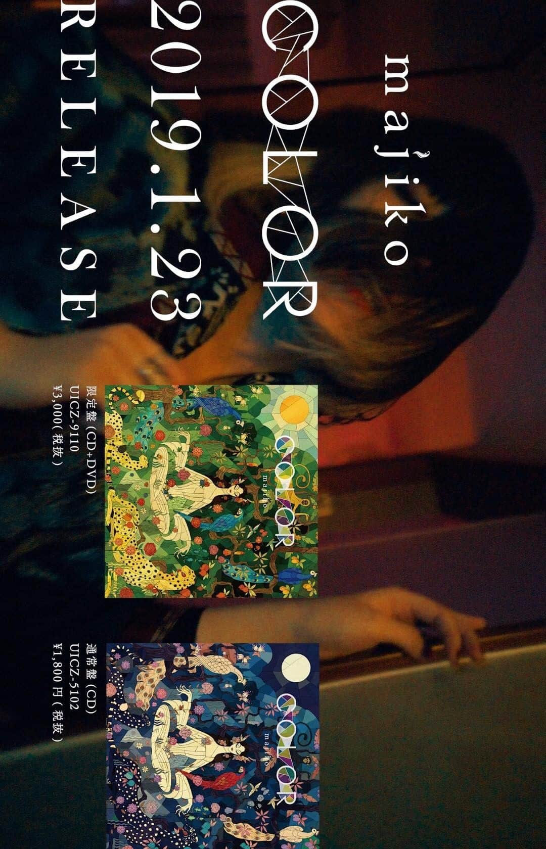 majikoのインスタグラム：「EP『COLOR』より、 「狂おしいほど僕には美しい」のshort MVが公開されました マイケル金子さん(@michaelkanekomusic )が作曲、プロデュースしてくれました⠒̫⃝ 今回も林監督(@kyotaro_photo )に撮ってもらいました！衣装も引き続きかいさん(@kaishuhei )に。 ありがとうございます！  MVはなんと中国で撮ってもらいました🇨🇳」