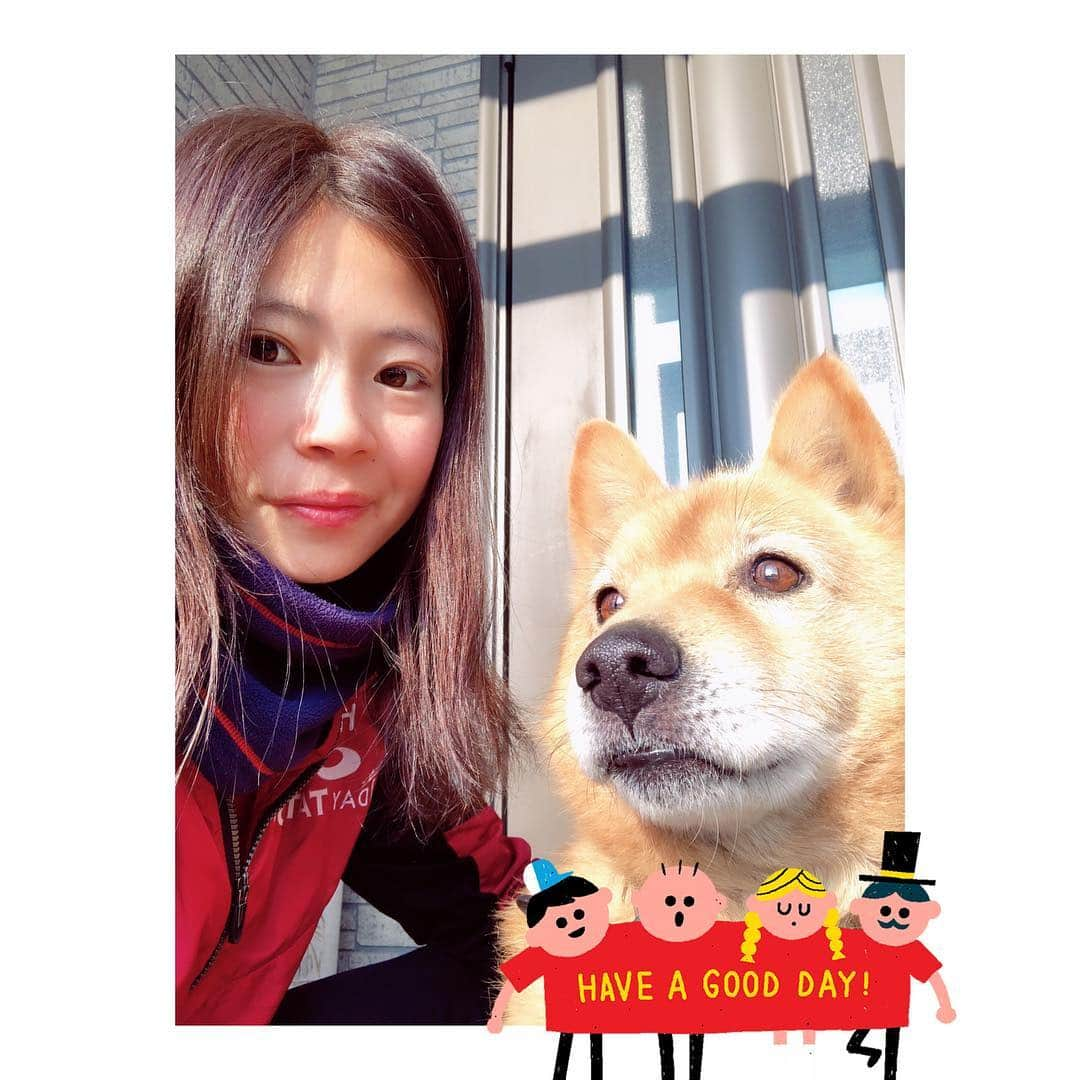 伊藤美紀さんのインスタグラム写真 - (伊藤美紀Instagram)「. 愛犬が可愛すぎる🥺💓 毎日お散歩〜 雪がちら〜っと降ってもお散歩〜🙆 お散歩から帰ってきたらお決まりのゴロン！ゴローンってしたら寝てるんじゃないかってくらい動かない😳」1月11日 9時24分 - miiiiiki.ito6