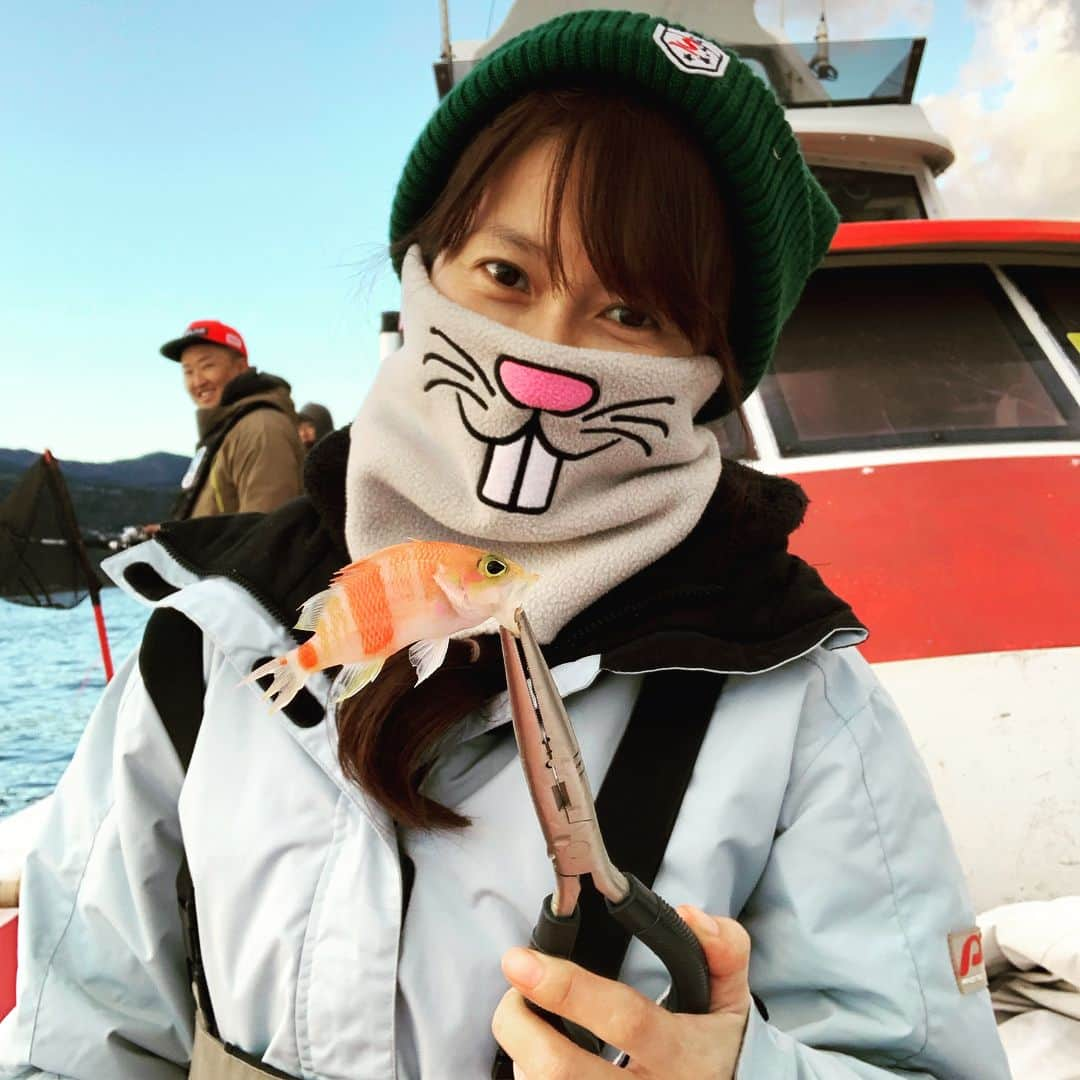 榎本加奈子さんのインスタグラム写真 - (榎本加奈子Instagram)「🐟最近釣ったお魚図鑑🐟 ☆お化粧濃いめなオキトラギス💄 ☆金魚みたいなアズマハナダイ ☆カヅさんの中指を噛んだ穴子😤🖕 #相模湾#魚図鑑#オキトラギス#アズマハナダイ#穴子#アナゴ#魚#釣り#🎣#釣り大好き#趣味  #fishing#fish」1月11日 13時11分 - kanako._.enomoto