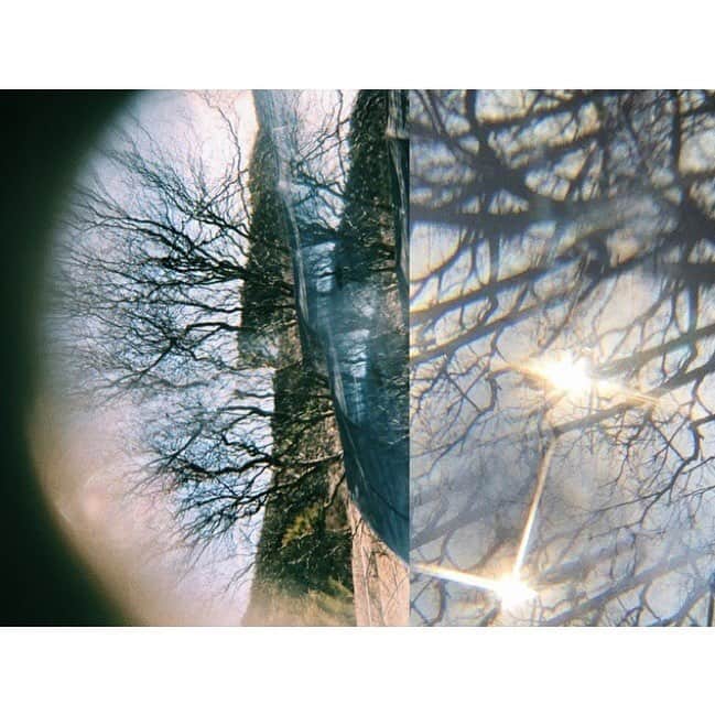 松尾レミさんのインスタグラム写真 - (松尾レミInstagram)「妖精と 二つの太陽を探しに行きました」1月11日 15時54分 - remimatsuo