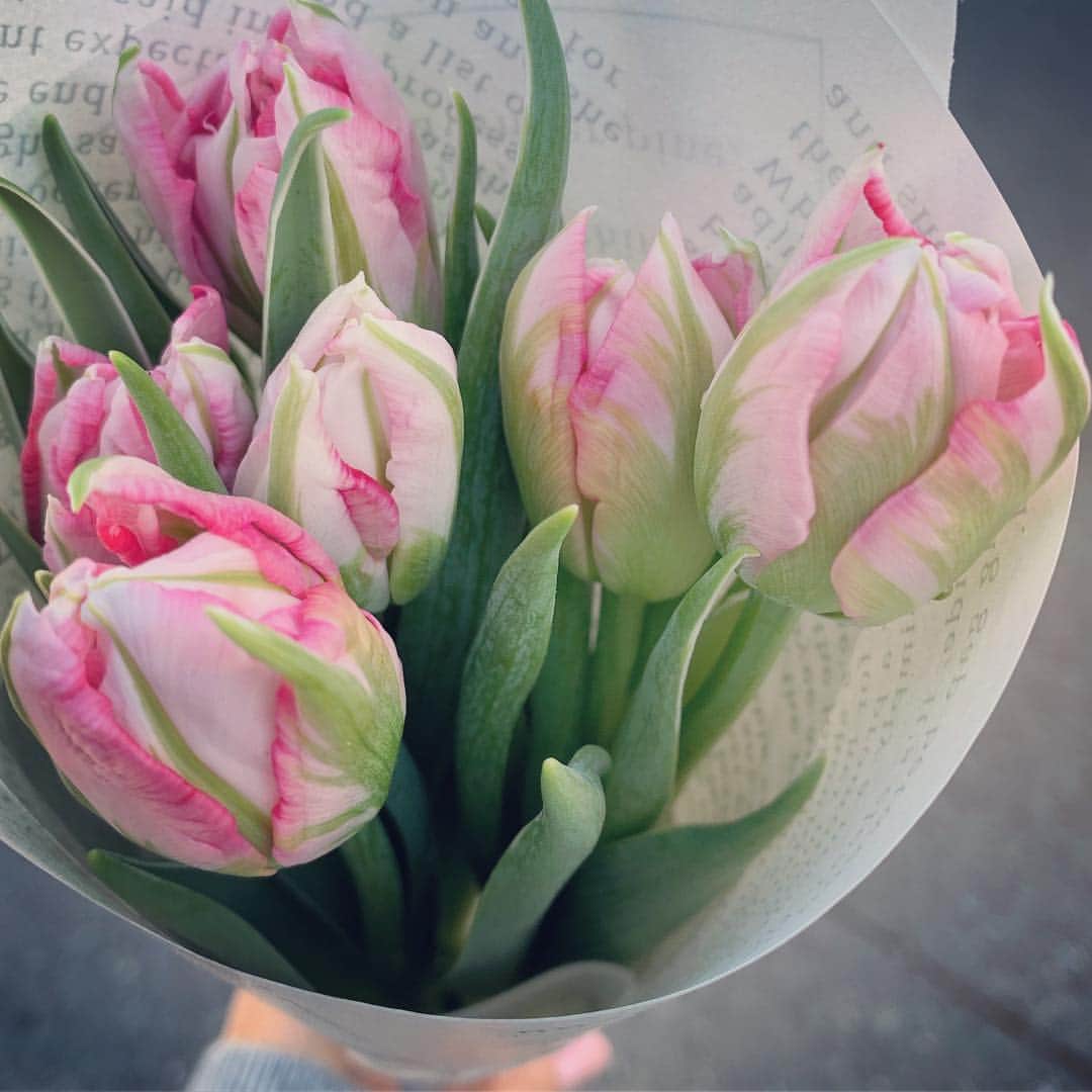 のインスタグラム：「spring is just around the corner🌱🌷🌿」