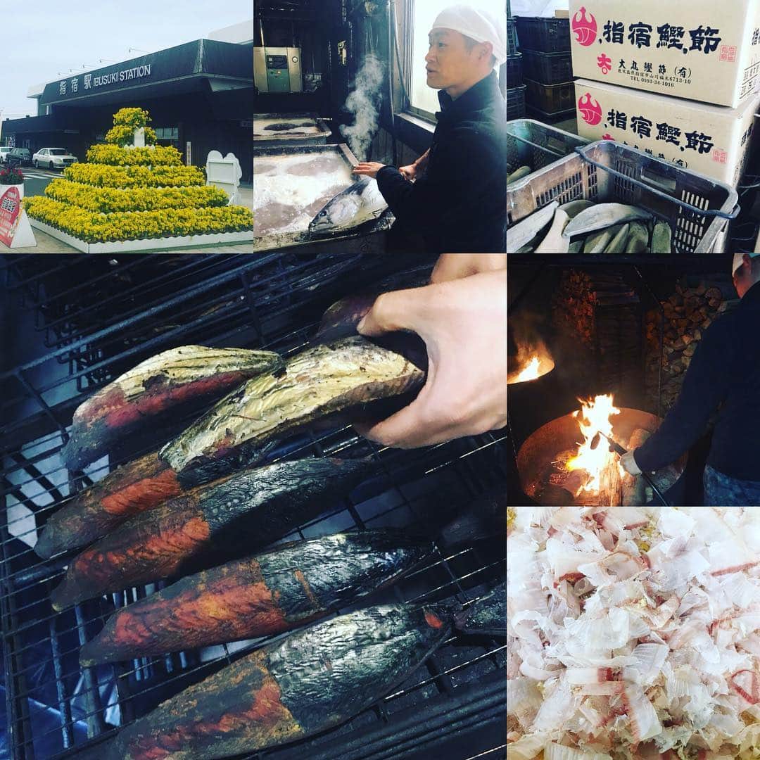 のインスタグラム：「鹿児島県・指宿市(いぶすきし)に来ています。念願の指宿、さらに念願の鰹節製造見学へ🐟✨ 指宿は、本枯節の生産量が日本一！ 質の高い鰹節、発酵食品の鰹節を作っています。(鰹節には、発酵させるものとそうでないものがあります。) 指宿に24軒ある製造所のうちの一軒、 大丸鰹節さんにお邪魔させていただきました。  鰹節が出来るまでの数々の工程と 職人技を拝見して、感動が止まりません✨✨✨ その丁寧な職人の仕事を見て、どうやってこの製法に辿り着いたのか、本枯節が誕生して今日に至るまでのことに想いを馳せると、もう鰹節が愛おしくてたまらなくなります💕  改めてまとめて伝えたいと思います。  #指宿 #いぶすき #Ibusuki #東洋のハワイ #指宿鰹節 #大丸鰹節 #本枯鰹節 #にんべんだしアンバサダー #フードマエストロ #foodmaestro #鹿児島 #kagoshima #ツタエルヒト。」