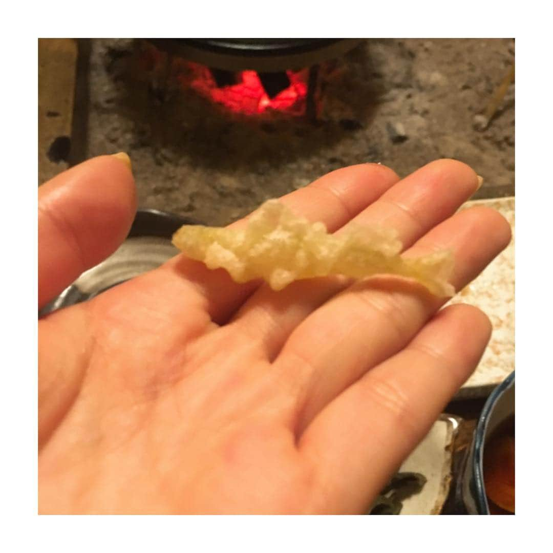 喜多よしかさんのインスタグラム写真 - (喜多よしかInstagram)「お宿は山湖荘さん♨️🐟🍚 ・ 今回は特別に釣ったワカサギを天ぷらにしていただきました😊🎣✨ ・ 温泉湯豆腐もハーブ牛もなにもかも美味しかった🤤🤤🤤 ・ ちーさいワカサギは私が釣ったかわい子ちゃんです🥺 ・ ２月８日 釣りビジョンにて放送であります🙆‍♀️🎣 ・ #釣りビジョン #帯広 #十勝 #温泉 #釣り」1月12日 20時58分 - yoshika_1002_official