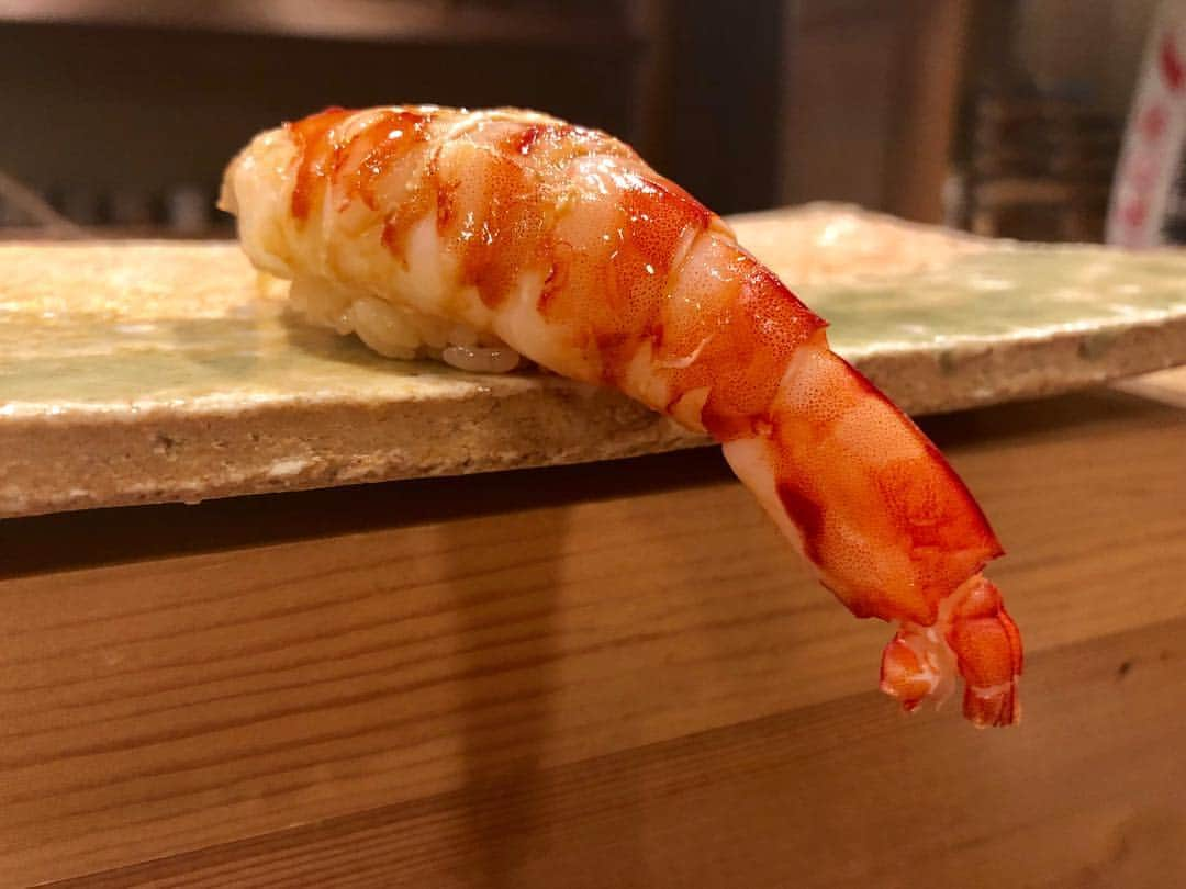 朝日光輝さんのインスタグラム写真 - (朝日光輝Instagram)「お待ちしておりました🤤🤤🤤🤤海老様✨🦐🦐🦐 * * * * * * * * * * #東麻布天本#天本#寿司#東麻布#赤羽橋 #tokyo#美味しい寿司#エビ#海老#えび#最高#最強#もはや芸術#感動#名店#予約困難 #うますぎ #ご馳走様でした」1月12日 22時24分 - mitsuteru_asahi