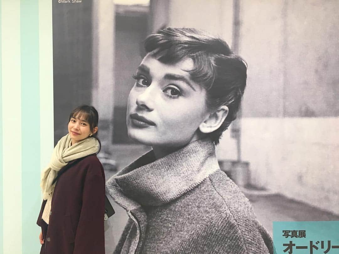 井桁弘恵さんのインスタグラム写真 - (井桁弘恵Instagram)「ㅤㅤㅤㅤㅤㅤㅤㅤㅤㅤㅤㅤㅤ おやすみなさい⭐️ ㅤㅤㅤㅤㅤㅤㅤㅤㅤㅤㅤㅤㅤ 写真は、福岡で 「写真展 オードリー・ヘプバーン」に行った時のもの。 美しいだけじゃなくて 心も強くて清らかで、一瞬で引き込まれる。 女優としても女性としても憧れの人になりました。」1月13日 1時05分 - igetahiroe23