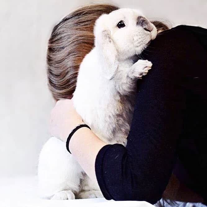 Exempel the bunnyさんのインスタグラム写真 - (Exempel the bunnyInstagram)「6 months without my best friend today.」1月13日 2時38分 - exempelthebunny