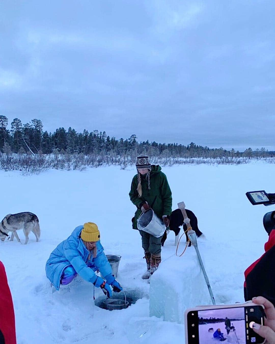 ローラさんのインスタグラム写真 - (ローラInstagram)「Came to Finland to visit a sanctuary for rescue dogs for a Japanese TV show. I hope more people focus on adopting animals instead of buying animals from pet shops 🌐 Dogs are like us! There is so much pureness in their eyes, hearts, and souls😌 フィンランドに、ある動物の番組の撮影できたんだ!  たくさんの人が保護犬、保護猫にもっとフォーカスする事で日本はもっと動物の愛にあふれる国になると思うんだ。今回はとても感動するストーリーなの。犬のピュアな目がなんだか心からずっとはなれない。。☺️詳細はまたかくね！！」1月13日 8時01分 - rolaofficial