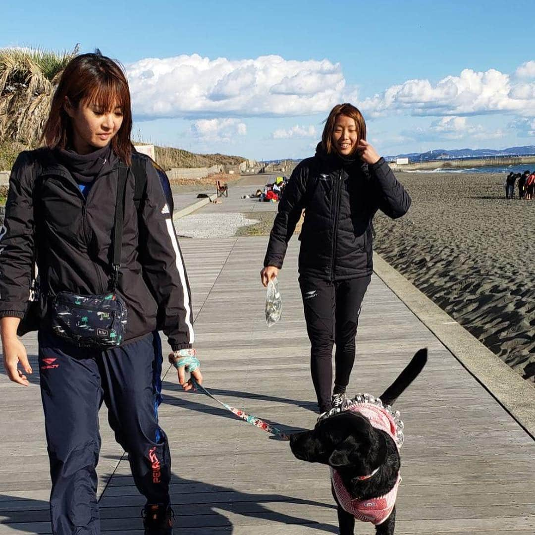 鈴木悠佳子さんのインスタグラム写真 - (鈴木悠佳子Instagram)「2019年🌈 明けましておめでとうございます🐗 2019から永田唯選手と組んでいただくことになりました🤲✨2人で日々前進していきます‼️ 応援よろしくお願い致します！ #湘南ベルマーレ #平塚ビーチパーク  #永田唯 #ニコ #beachvolley  #PENALTY」1月13日 17時26分 - kaijyu_chan