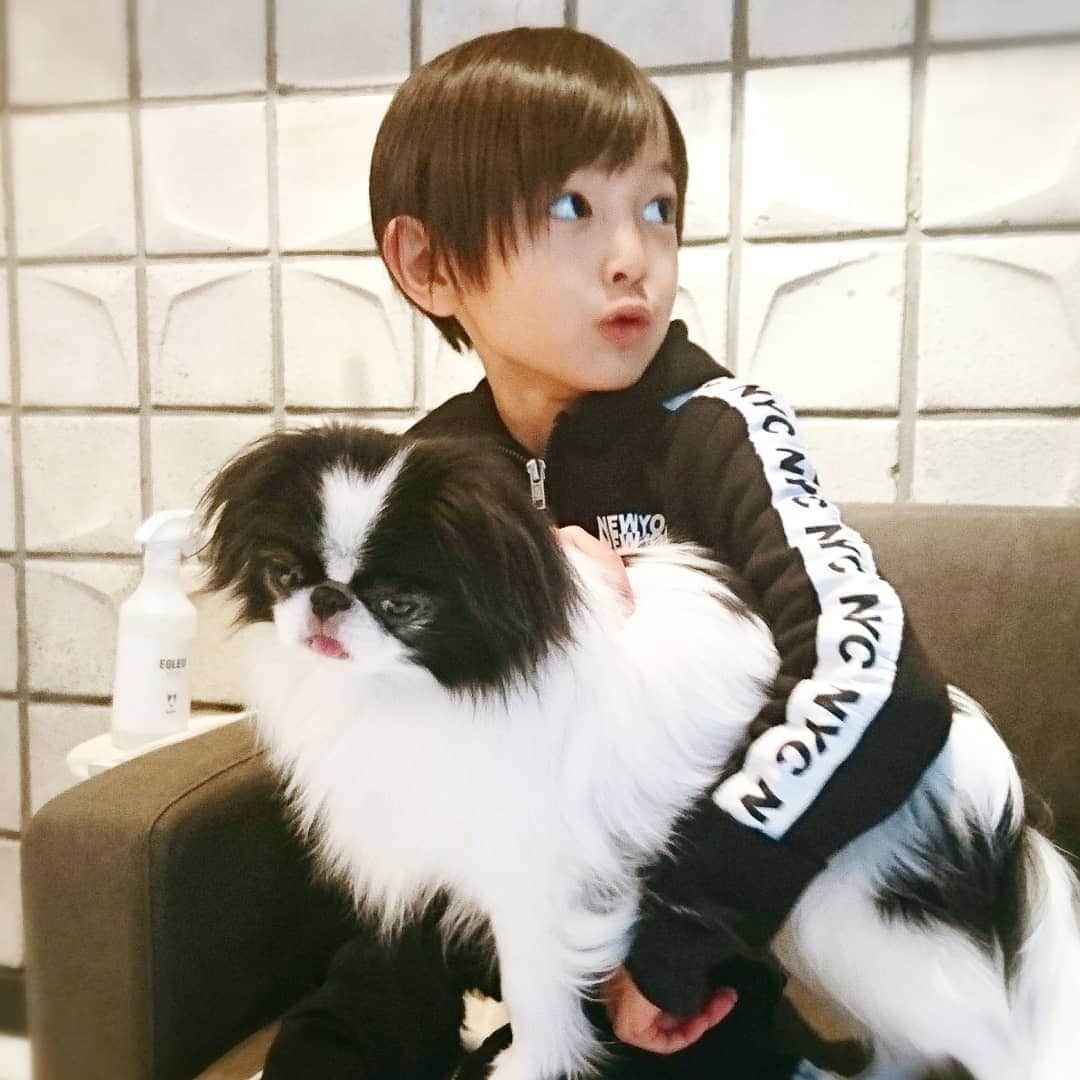 真山景子さんのインスタグラム写真 - (真山景子Instagram)「ぷーこの美容院のお迎えで違う犬を抱く息子。犬が好き❤️」1月13日 18時33分 - keikomayamaya