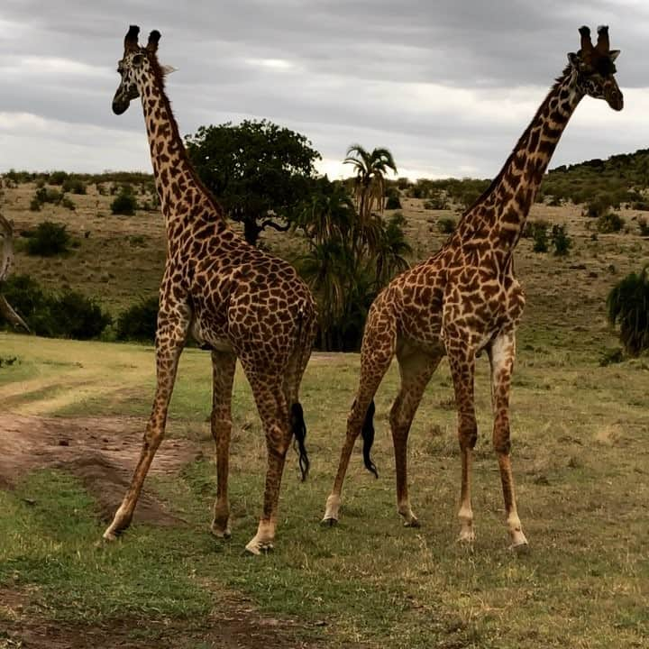 森下紀子のインスタグラム