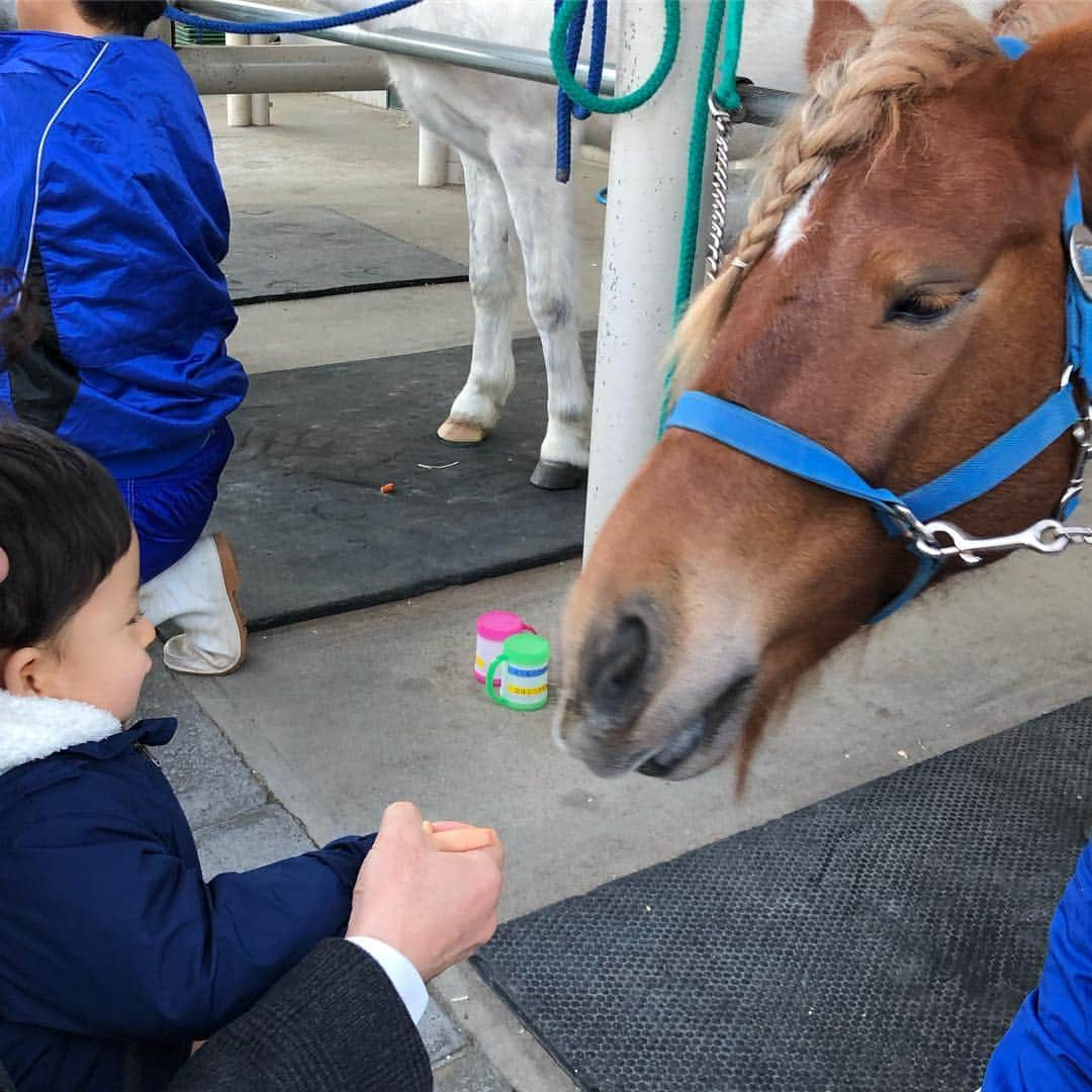 松丸友紀さんのインスタグラム写真 - (松丸友紀Instagram)「私が小さい時、よくポニーに乗りに行ったのを思い出し、家族でポニーのいるところへ。 たまたまふれあいイベントをやっていたので人参をあげたよ。 動物が大好きな息子はもっとあげたそうだった。 猫と同じでポニーにも鼻ポチしようとしてたのが笑えた😝 #1歳8ヶ月 #ポニー #次は乗れるといいね」1月13日 20時43分 - yuki_matsumaru