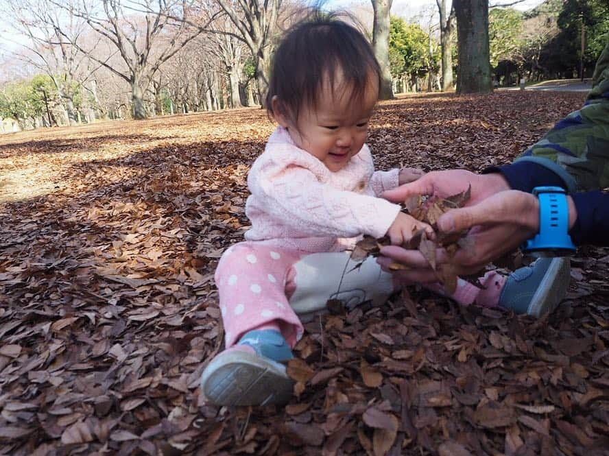 金田朋子さんのインスタグラム写真 - (金田朋子Instagram)「今年もいっぱい走るぞ〜(^O^) #ランニング #champion #cpfu」1月14日 16時51分 - kanetomo.choonpa