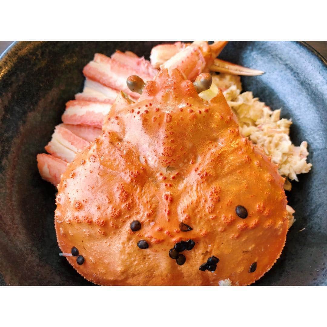 的場絢香さんのインスタグラム写真 - (的場絢香Instagram)「🦀﻿ ﻿ #福井県#越前海岸 へ﻿ #旅したがーる ♩﻿ ﻿ 冬が旬といえば、カニ〜✌︎✌︎﻿ ﻿ 魚屋の喰い処まつ田の、ずわい丼❣️﻿ カニの殻の出汁で炊いたご飯の上に、﻿ 越前ガニまるまる1杯、どーんっ！﻿ もちろんミソもたっぷりと。﻿ (これで4,500円！)﻿ ﻿ もう、、それはそれは﻿ 美味しゅうございました。﻿ ﻿ 冬の越前海岸に是非🌊﻿ ﻿ _______________________________ #石川さん情報liveリフレッシュ  #石川テレビ #旅 #福井 #カニ #魚屋の喰い処まつ田 #蟹 #まつ田ずわい丼 #越前ガニ」1月14日 17時11分 - ayaka_matoba