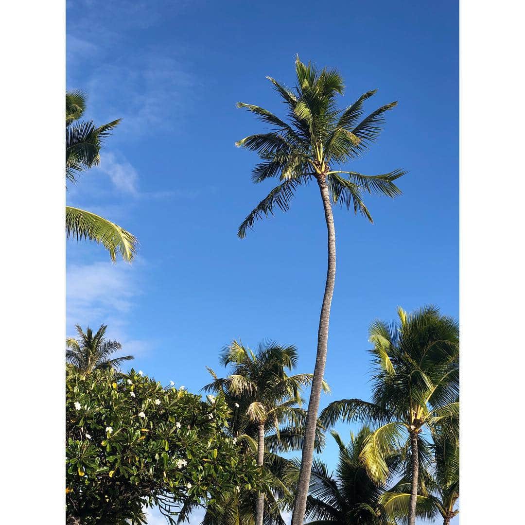 森麻季さんのインスタグラム写真 - (森麻季Instagram)「Hawaii🏖  主人のお友達の結婚式に出席するためオアフ島にいます #青い海青い空穏やかな空気 #これがたまらんのです #息子初めてのハワイ  #しかも初の飛行機で心配しましたが #意外と平気で助かりました #少しゆっくりします #先日息子生後8ヶ月になりました #hawaii #oahu #vacation#家族旅行 #生後8ヶ月」1月14日 17時45分 - maki.mori_m