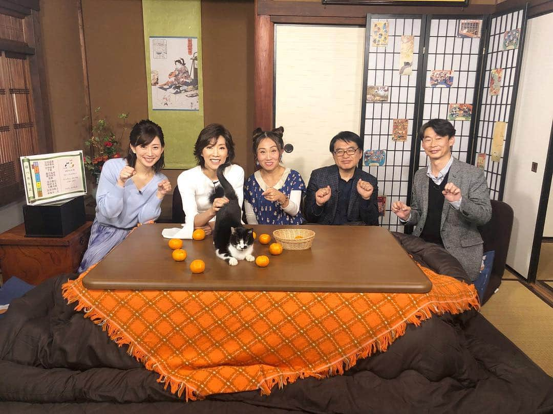 佐々木瞳さんのインスタグラム写真 - (佐々木瞳Instagram)「【出演中❣NHK Eテレ 「趣味どきっ！」不思議な猫世界】  今夜1月14日（月）午後9時30分〜 #NHK #Eテレ「#趣味どきっ！」の「#不思議な猫世界 」第6回が放送されます🐱 私は、#MC として出演中です😽  第6回は「#猫バカ列伝 」🐈 http://www.nhk.or.jp/syumidoki/syumidoki-mon/index.html あの#有名人 の#猫バカ ぶりを紹介！！#長谷川町子 、#赤塚不二夫 、#夏目漱石 、#フレディー・マーキュリー 等…誰もが耳にしたことある有名人たちの猫バカぶりに驚き⁉︎✨#作家・#漫画家・#アーティスト など有名人の心温まる#猫バカエピソード をお届けします🐈 今回のゲストは、前回に引き続き、#真琴つばさ さんと#キンタロー。  さんです😻  どうぞお楽しみに🐱💖 #アナウンサー #佐々木瞳 #猫好きな人と繋がりたい #ねこすたぐらむ #猫 #猫すたぐらむ #ねこ好き #猫好きさんとつながりたい #ねこばか  #ねこバカ」1月14日 12時49分 - hitomihappygirl1026