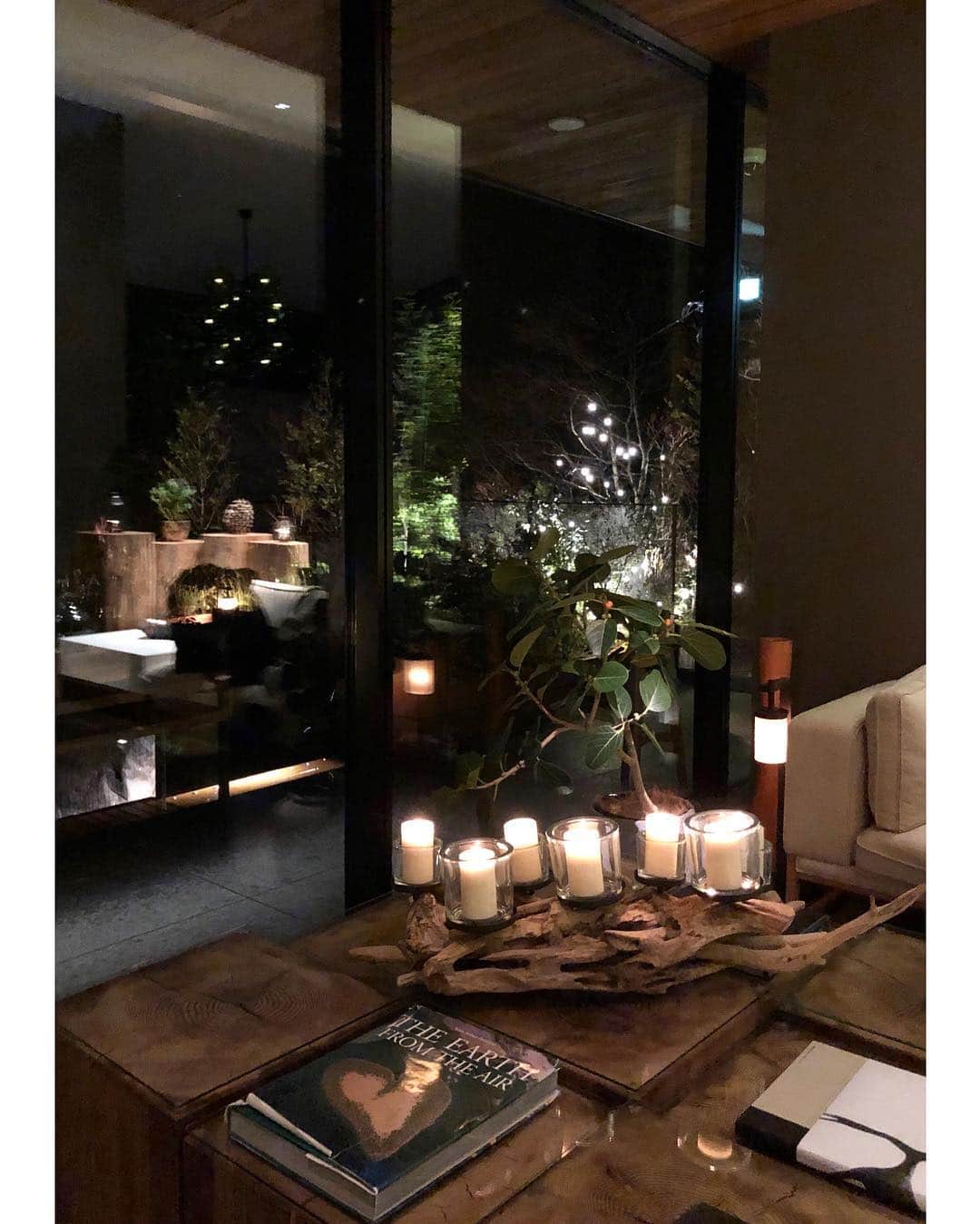 松本恵奈さんのインスタグラム写真 - (松本恵奈Instagram)「寝起きのとおき👦🏻置物みたいで可愛い。笑 河口湖の「ふふ」の植物達も可愛かった♡ #ふふ」1月14日 20時07分 - ena1123