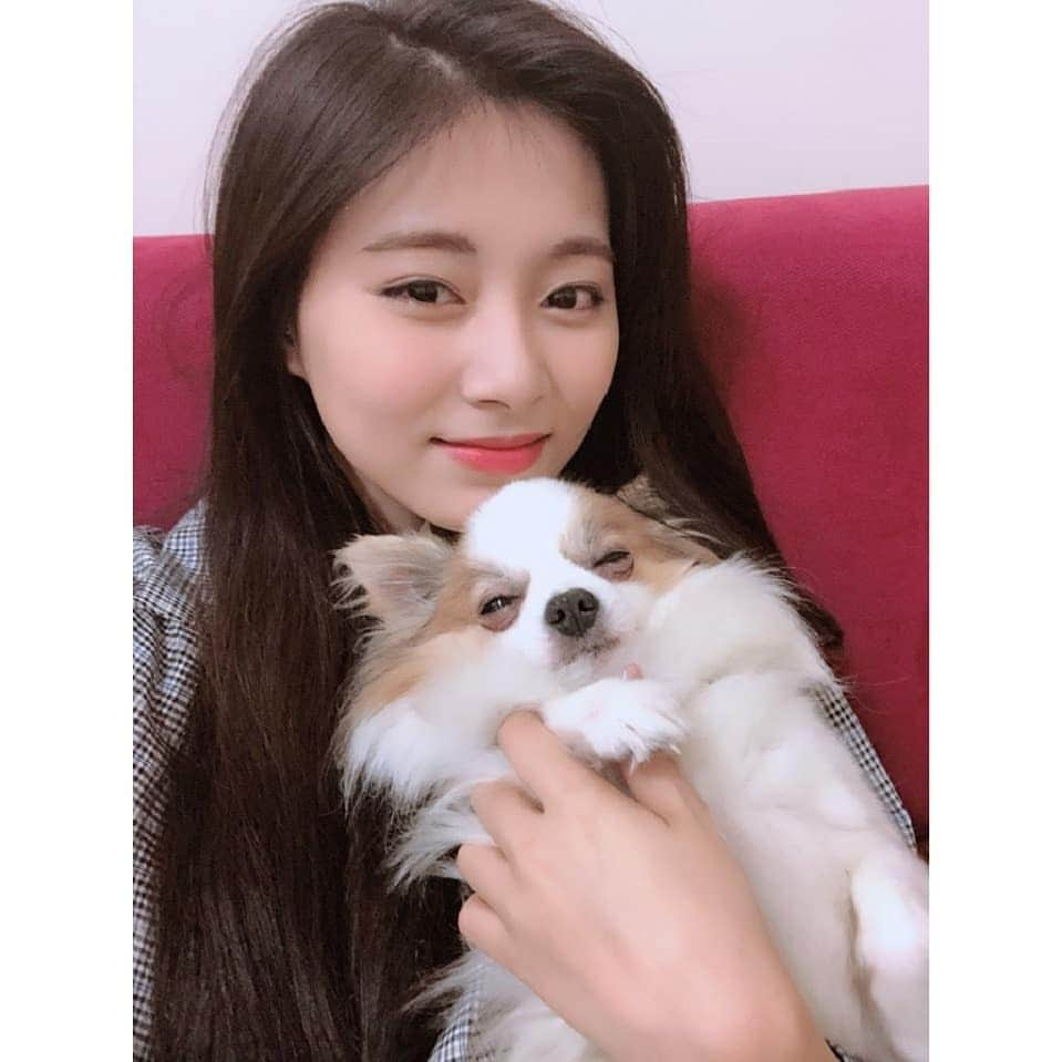 TWICEさんのインスタグラム写真 - (TWICEInstagram)「오랜만~~~ 好久不見～～～」1月14日 20時11分 - twicetagram