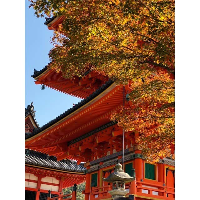 小栗有以さんのインスタグラム写真 - (小栗有以Instagram)「京都に行った時の…😙🍁 清水寺や伏見稲荷大社や車折神社に行ったり色んなお店に入ったり…  楽しかった〜。 まだまだ観たいところが沢山時間が足りない。。 また行きたいなぁ〜  #京都 #No.2 #清水寺 #車折神社 #ゆいゆいカメラ」1月15日 12時43分 - yuioguri_1226