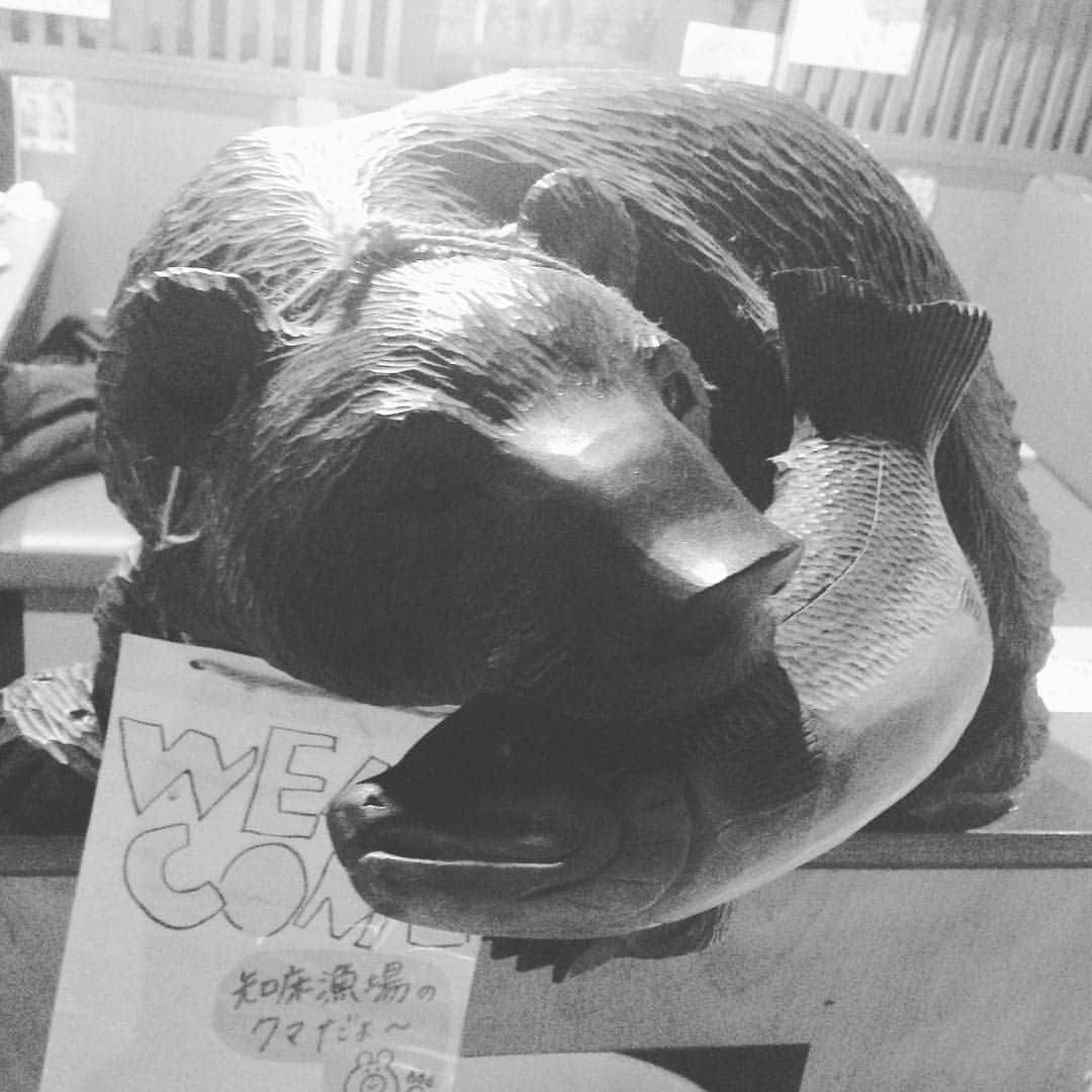 知床漁場 新大宮店のインスタグラム：「本日も大盛況でした！✨ 今日はヘルプでワカさんが来てくれました！  明日も営業しております！ 是非来てください！😋 #知床漁場#新大宮#奈良#知床#居酒屋#海鮮#海鮮居酒屋 #ワカさん #熊🐻」