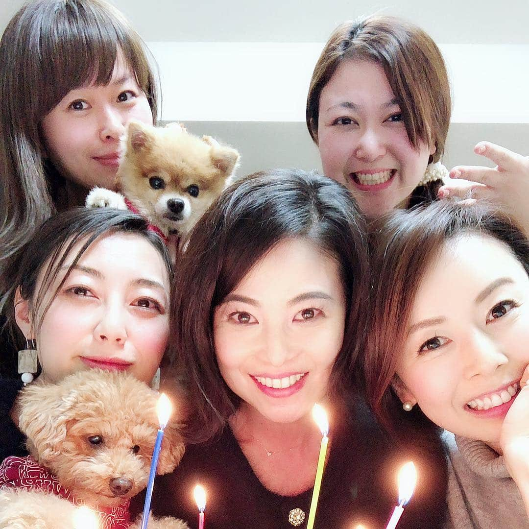 宮崎宣子さんのインスタグラム写真 - (宮崎宣子Instagram)「女だらけの新年会🤣💕💕 笑いが止まらない🤣 お腹痛いから、もうやめて〜って言うくらい大笑い🤣  そして玲奈ちゃんお誕生会❤️ 後何回お祝いしようかな😘  愛ちゃんの愛犬パクチーちゃんは、ぬいぐるみ犬🐶で、 可愛くて可愛くて玲奈ちゃんのお膝でまったりといい子なのに、、、 アロハは人の家のハウスに入って、おしっこしたのは偉いけど、 パクチーちゃんのベッドに入り込み、クッションの間に挟み込みになりながら餌を食べてて😅  育ちが分かるからやめてー💦 食いしん坊なアロハに、たくさんお洋服も頂き、  私もアロハを受け入れてくれる最高のメンバーに囲まれて、美味しいご飯に、楽しい時間を過ごせてあー幸せって思える夜でした💕  今年もよろしくお願い致します🙏✨✨✨ #新年会 #女子会 #茅乃舎のだし #茅乃舎の鍋 #色んな味があって #どれも美味しい #愛犬 #パクチー ちゃん #アロハ便り #食いしん坊犬 #犬のお洋服 #頂きました #愛ちゃんありがとう #玲奈ちゃん #お誕生日おめでとう #大笑いの新年会」1月15日 21時33分 - miyazaki_nobuko