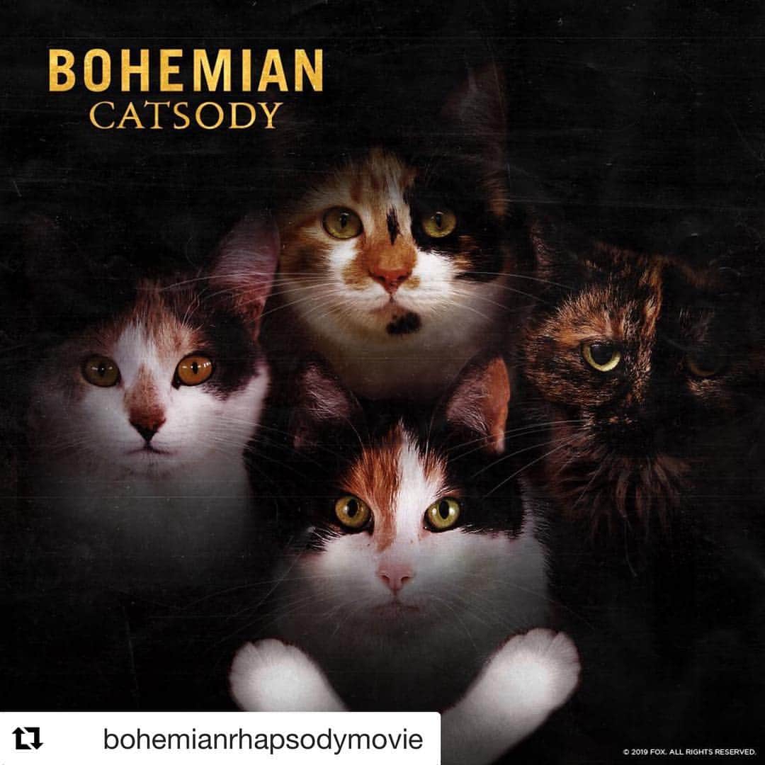 映画『ボヘミアン・ラプソディ』公式のインスタグラム：「🐈ボヘミアン・ニャープソディ #Repost @bohemianrhapsodymovie One lost album cover from Queen’s back “Cat-a-logue”. #NationalDressUpYourPetDay」