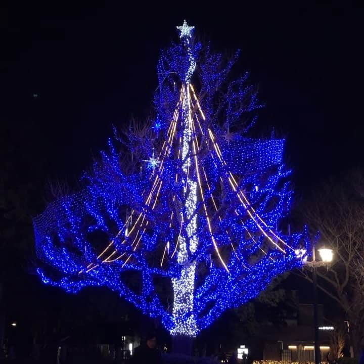 井嶋ナギのインスタグラム：「上野公園にて、新年イルミネーションツリー。﻿ ﻿ #上野 #ueno #東京 #tokyo #上野公園 #UenoPark #illumination #イルミネーション ﻿ #nostalgic #nostalgy #retro﻿﻿ #romantic ﻿ #oldjapan #nostalgicjapan #nostalgictokyo﻿﻿﻿ ﻿﻿﻿﻿﻿﻿ #japangram #ilovejapan #lifeinjapan #japanlover #lovejapan #explorejapan﻿﻿﻿﻿﻿ ﻿﻿﻿﻿﻿ #tokyogram  #ilovetokyo #lifeintokyo #tokyolover #lovetokyo #exploretokyo﻿﻿﻿﻿ ﻿﻿」