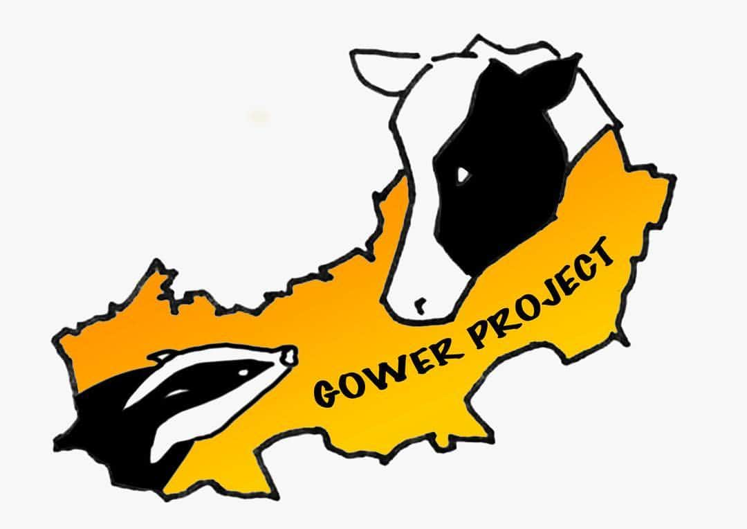 ブライアン・メイさんのインスタグラム写真 - (ブライアン・メイInstagram)「And now, for me ... something completely different. We’re laying the foundations for this groundbreaking project for South Wales - to banish Bovine TB from the beautiful Gower Peninsula. We believe this will be the new Gold Standard in TB eradication.  There is a growing realisation that claims for the success of the present badger culling strategy in England have been faked - giving false hope to Britain’s dairy farmers, and causing the tragic unnecessary and useless slaughter of tens of thousands of mostly healthy badgers. In the Gower, no culling has been allowed.  And it’s well known that in Wales as a whole the prevalence of cattle TB has actually declined. But many farmers in the Gower have suffered terrible losses and are ready for a new approach. The Gower Project will change EVERYTHING. This is the future - eventually for all of Britain. TB eradication without killing wildlife - and TB eradication which WORKS. Hope for the farmers at last.  Extravagant claims ? You think ? Time will tell. We are not in Wales tonight. We’re refining our future plans at GATCOMBE - the farm in Devon whose success story will be the model for the new scheme in Wales - collaborating with an already highly motivated group of state-of-the-art Welsh farmers - ready to make history.  My thanks to @Drivenbybrianmay for creating this logo, with a little help from @pengimay and myself !  More on this later.  Today we are ‘in the field’ with vets and farmers, initiating a new process to combat the scourge of bovine TB.  Bri」1月16日 4時11分 - brianmayforreal