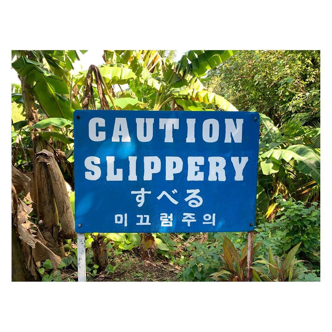 柴咲コウさんのインスタグラム写真 - (柴咲コウInstagram)「すべる slippery #trip」1月16日 16時22分 - ko_shibasaki