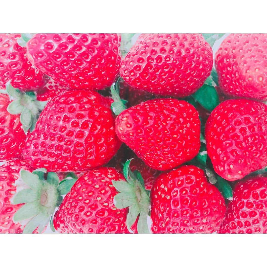 山本里菜さんのインスタグラム写真 - (山本里菜Instagram)「昨日はいちごの日🍓 私はいちごを1パック一気食いするのが好きです... 皆さんも昨日は食べましたか？😊 #いちごの日 #いちご」1月16日 10時23分 - rinayamamoto_0622