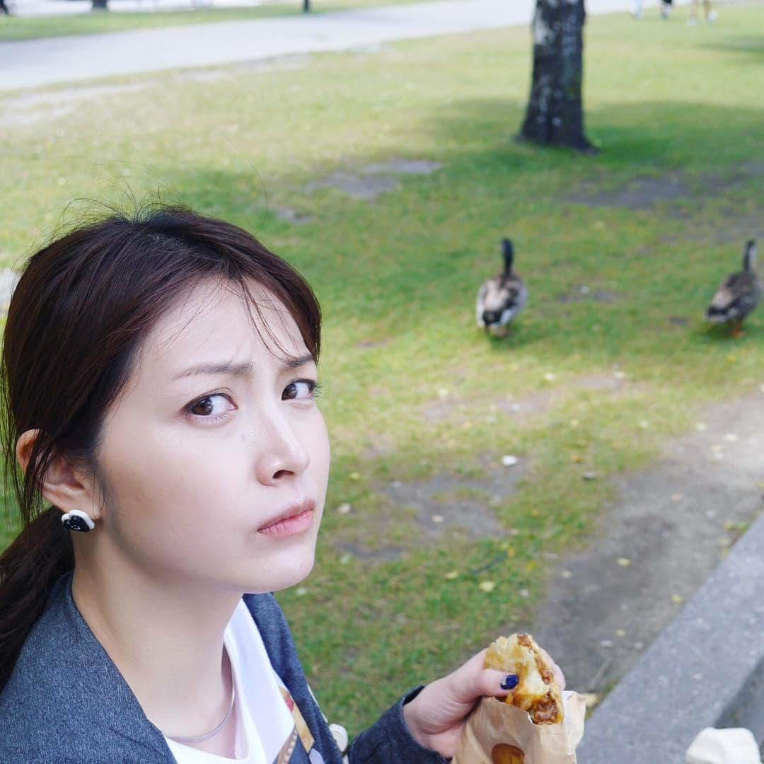 佐藤めぐみさんのインスタグラム写真 - (佐藤めぐみInstagram)「鴨🦆に警戒している。笑 #これは私のパンです。#ふふふ#fergbakery」1月16日 14時30分 - meguuuuusuke