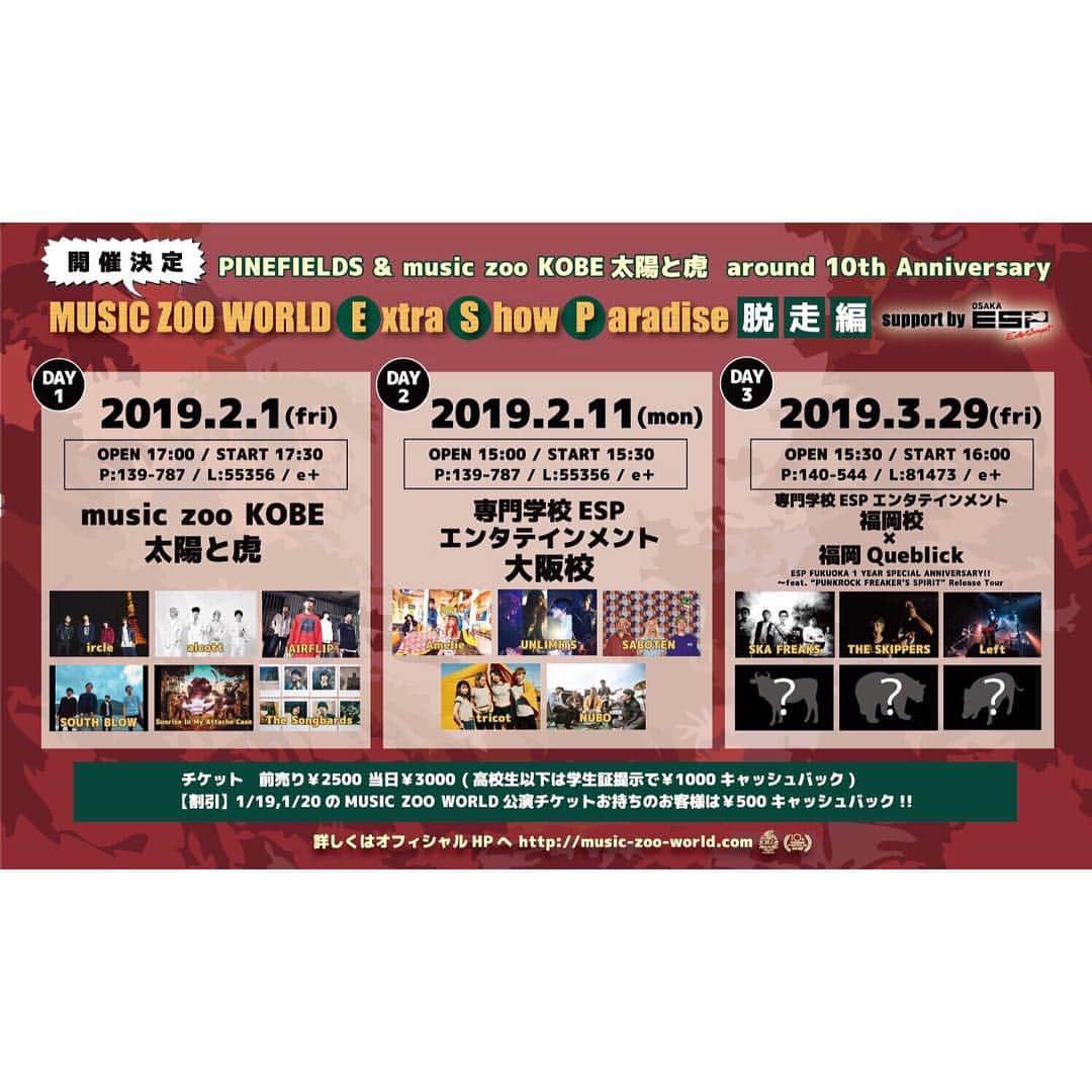 清水葉子さんのインスタグラム写真 - (清水葉子Instagram)「2/11はUNLIMITS久々の大阪！ 太陽と虎チームのイベント！ 良きメンツで楽しみ✨ 遊びに来てくれよな！」1月16日 17時40分 - unlimits_yoko