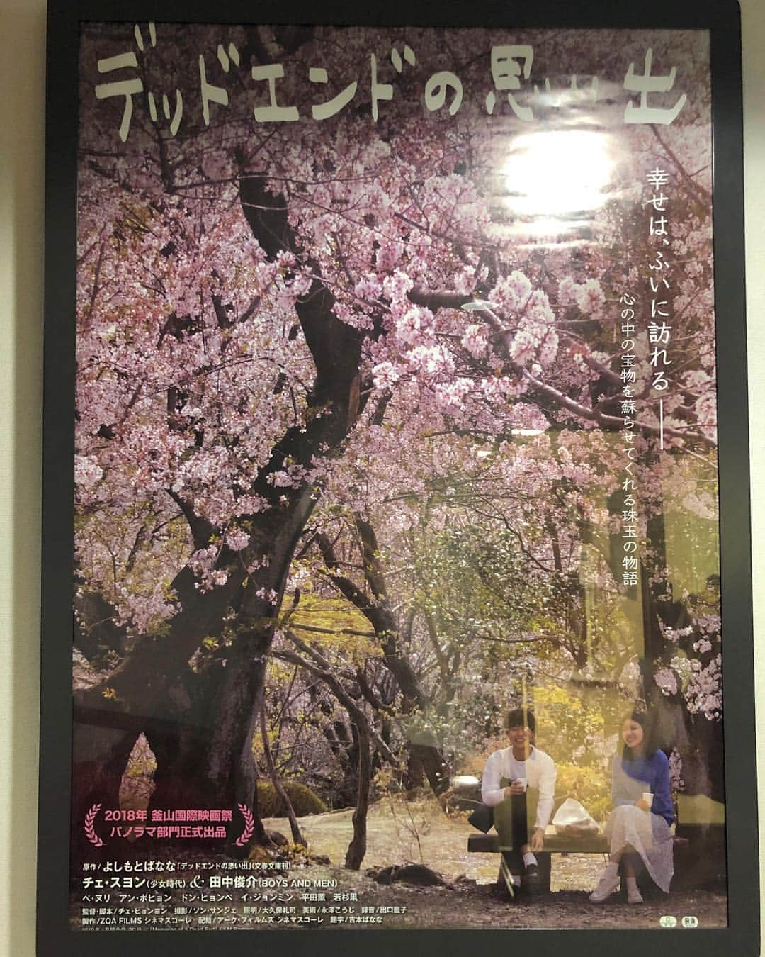 平田薫さんのインスタグラム写真 - (平田薫Instagram)「今日は#よしもとばなな さん原作の映画 #デッドエンドの思い出 の試写会に行ってきました🙌 私もちらりと出演させていただいています。 2月2日シネマスコーレにて名古屋先行上映、2019年2月16日から新宿武蔵野館ほか、全国順次ロードショーになります。  是非見てくださいね☺️ 2枚目、3枚目は出演者の皆様と一緒に。  #デッドエンドの思い出  #よしもとばなな さん #スヨン さん #田中俊介 さん #アンボヒョン さん」1月16日 19時56分 - hiratakaoru1215