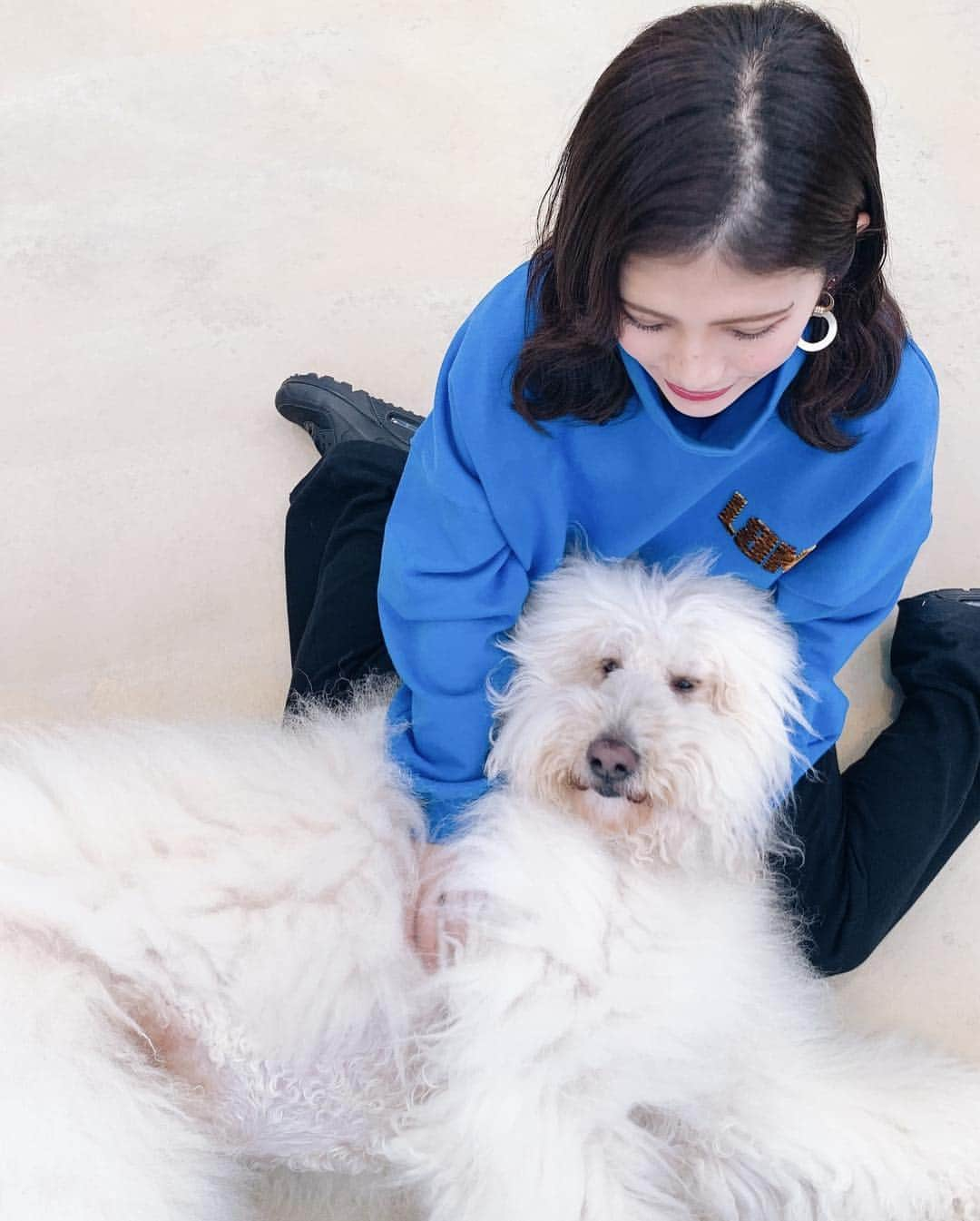 Marika Kajiwaraさんのインスタグラム写真 - (Marika KajiwaraInstagram)「スワイプ▶︎▷▶︎ レイクウッズガーデン🐩💓 ＊ この前ちらっと載せたこの場所、 ストーリーで質問がすごく多かったから詳しく♡ ＊ ＊ 千葉県にあるんやけど、国内で唯一 #オーストラリアンラブラドゥードル に 会いに行ける場所( ˘ ³˘)♡ ドゥードルは ラブラドールとプードルのMIXなんやけど 大きさも色もバラバラで みんなほんまに可愛いかった😭💓 ＊ ふれあい広場ではワンちゃんと遊べて １日何組か限定でお散歩も♡ (ちゃっかりお散歩したからまた載せるw) ＊ 会いに行くだけじゃなくて、 お家のわんちゃん連れて行けるし、 大自然やしドッグランもあるから お散歩してる方も多かったよ(｡･ω･｡) ＊ 初めてドゥードル会ったけど ほんまにみんな懐っこくて良い子で いつか欲しいと思ってしまった😂❤️ ＊ わんちゃん好きな方は是非♡♡ ⚠︎ちなみに車でしか行けません(笑) ＊ ＊ ＊ #オーストラリアンラブラドゥードル #ラブラドゥードル #レイクウッズガーデン #ひめはるの里 #千葉 #like #doog #instagood」1月16日 19時53分 - marika__kw