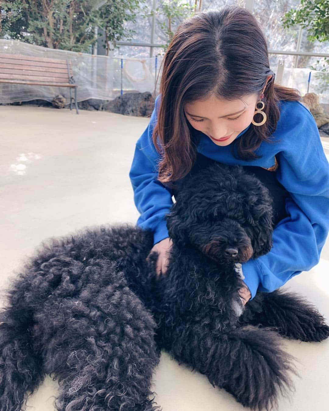 Marika Kajiwaraさんのインスタグラム写真 - (Marika KajiwaraInstagram)「スワイプ▶︎▷▶︎ レイクウッズガーデン🐩💓 ＊ この前ちらっと載せたこの場所、 ストーリーで質問がすごく多かったから詳しく♡ ＊ ＊ 千葉県にあるんやけど、国内で唯一 #オーストラリアンラブラドゥードル に 会いに行ける場所( ˘ ³˘)♡ ドゥードルは ラブラドールとプードルのMIXなんやけど 大きさも色もバラバラで みんなほんまに可愛いかった😭💓 ＊ ふれあい広場ではワンちゃんと遊べて １日何組か限定でお散歩も♡ (ちゃっかりお散歩したからまた載せるw) ＊ 会いに行くだけじゃなくて、 お家のわんちゃん連れて行けるし、 大自然やしドッグランもあるから お散歩してる方も多かったよ(｡･ω･｡) ＊ 初めてドゥードル会ったけど ほんまにみんな懐っこくて良い子で いつか欲しいと思ってしまった😂❤️ ＊ わんちゃん好きな方は是非♡♡ ⚠︎ちなみに車でしか行けません(笑) ＊ ＊ ＊ #オーストラリアンラブラドゥードル #ラブラドゥードル #レイクウッズガーデン #ひめはるの里 #千葉 #like #doog #instagood」1月16日 19時53分 - marika__kw