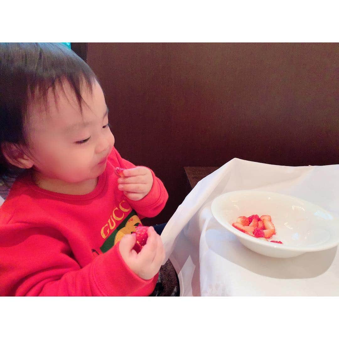 川崎希さんのインスタグラム写真 - (川崎希Instagram)「フルーツマニアなおちびーぬ🐣🌟🌟🌟 @ochibiochibinu  #baby」1月16日 21時17分 - kawasakinozomi