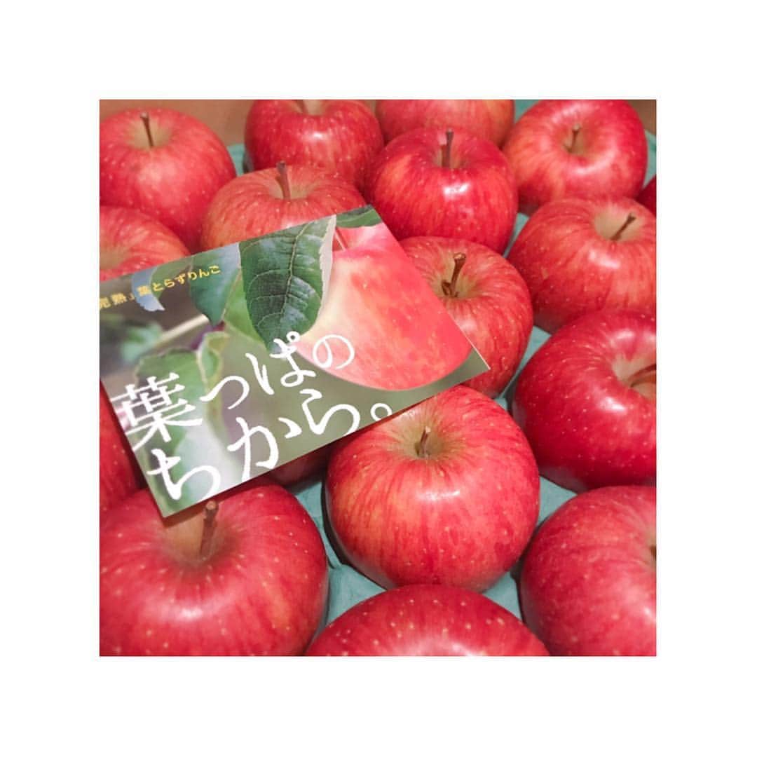 トリンドル玲奈さんのインスタグラム写真 - (トリンドル玲奈Instagram)「青森からりんごを取り寄せてみました🍎  おいしい〜! ポリフェノールやペクチン、カリウムが豊富みたい! ♡ #葉とらずりんご」1月16日 21時37分 - toritori0123
