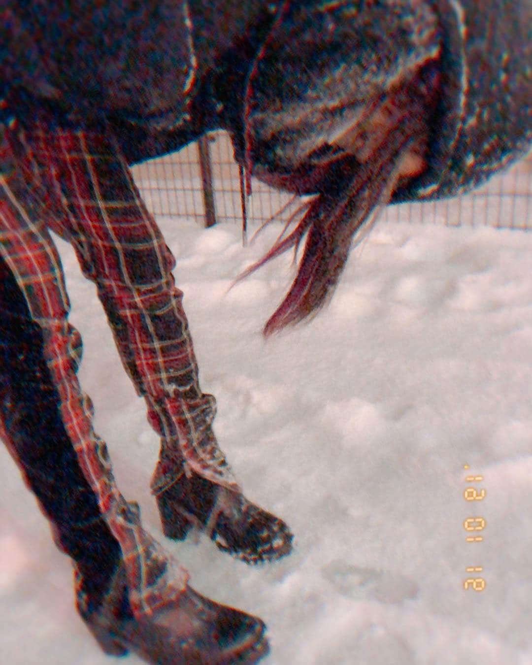 LiSAさんのインスタグラム写真 - (LiSAInstagram)「北海道着いた☻ 明日は振替公演です。 2019年ワンマン始めます。 よろしくお願いしますっ\( ¨̮ )/ #LiSA #core #北海道 #わくわくホリデーホール #はちきょう #雪」1月16日 23時25分 - xlisa_olivex