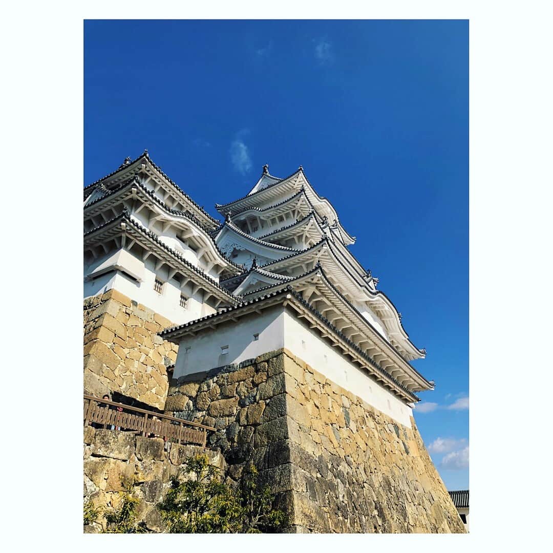 望月理恵さんのインスタグラム写真 - (望月理恵Instagram)「どこから見ても美しい 姫路城。別名白鷺城 国宝です。 世界遺産です。  24年前、 姫路は震度4だったそうです。  阪神淡路大震災から24年。 改めて亡くなられた方々の ご冥福をお祈りいたします。」1月17日 12時14分 - mochiee28